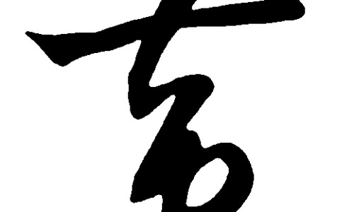 高利参的功效是什么-高利润的功效网- 高利润经济作物有哪些知识,分享高利参的功效是什么